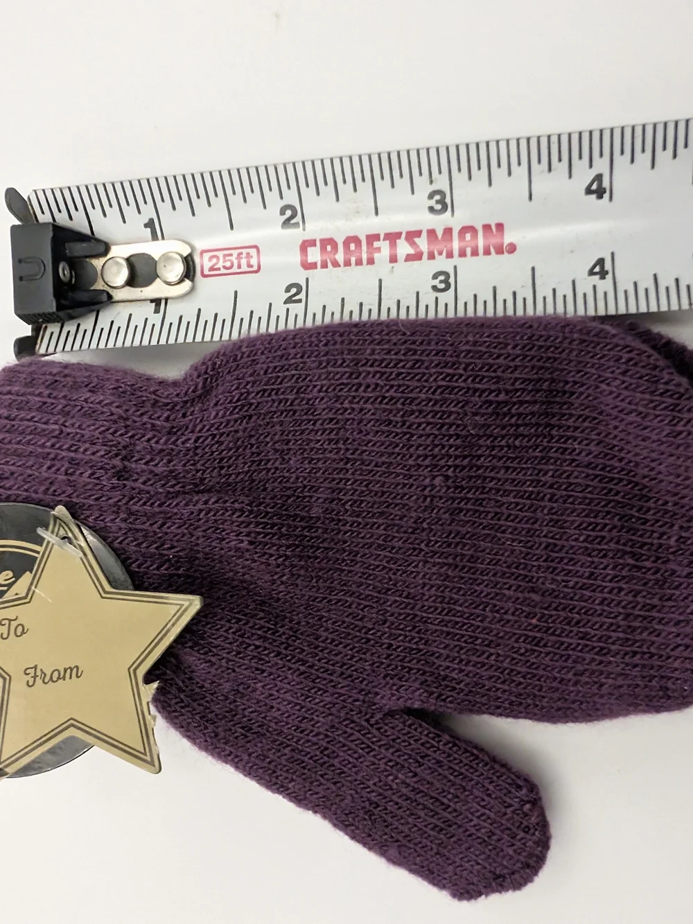 Jo-Ann Fabrics Kids Nwt Purple Mittens 2016, Brand New